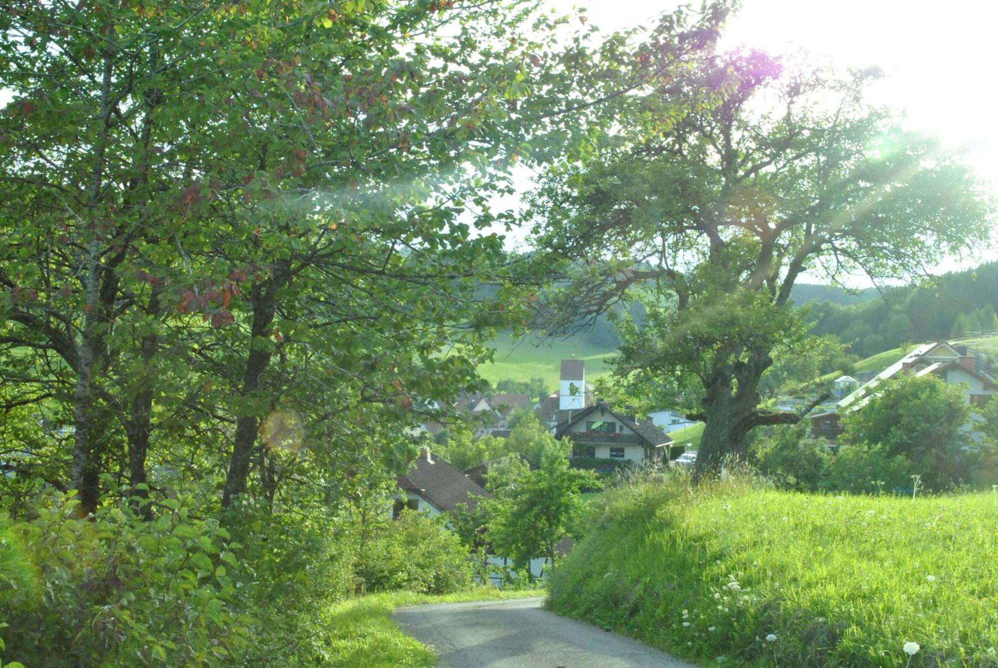 Gasthaus Kranz Lausheim Buitenkant foto