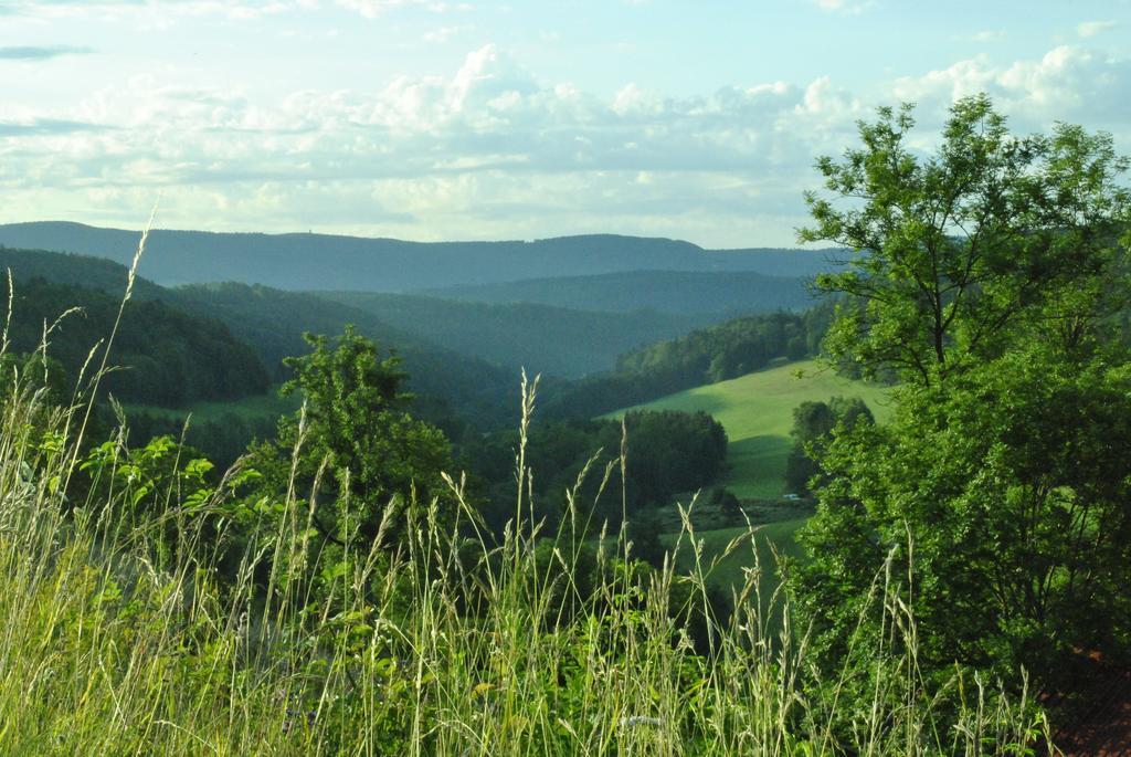 Gasthaus Kranz Lausheim Buitenkant foto