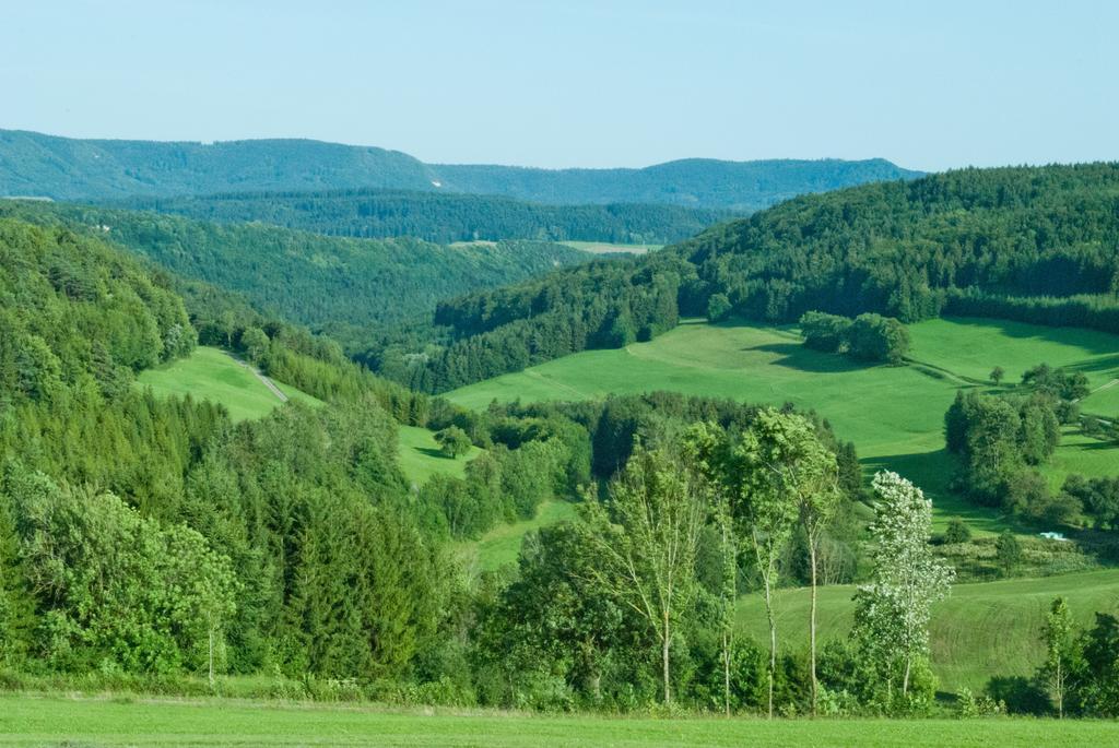 Gasthaus Kranz Lausheim Buitenkant foto